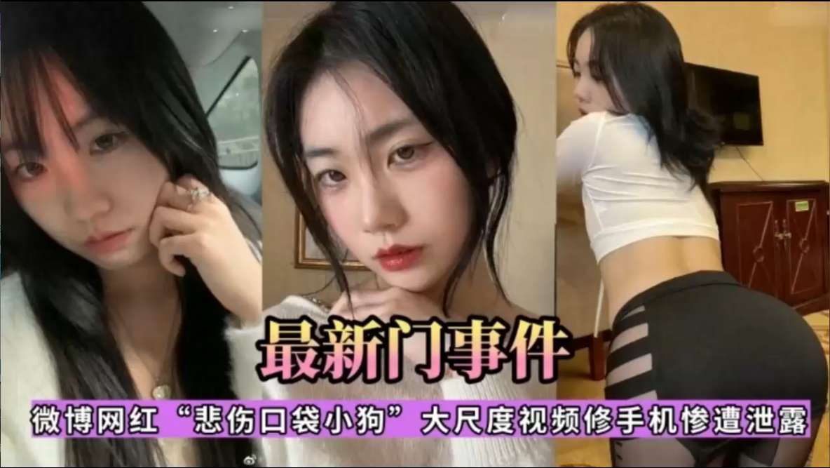 微博网红【悲伤口袋小狗】大尺度视频收手机惨遭泄露